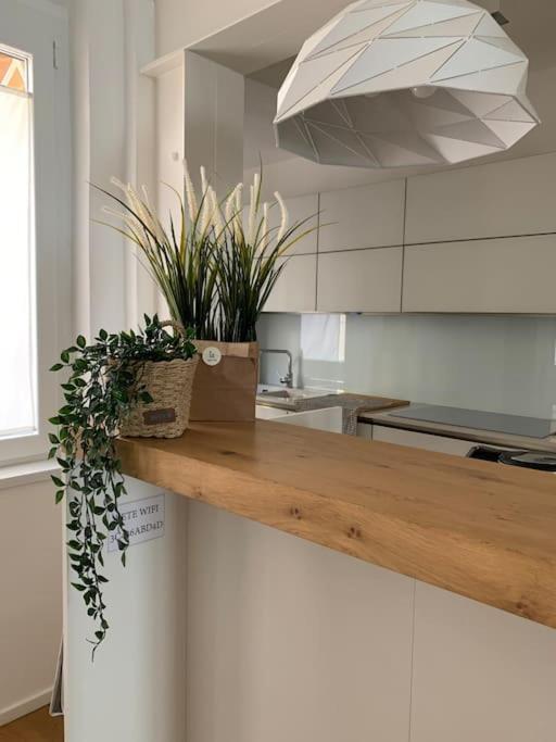 Interno4Home: In Centro Storico Con Posto Auto Ferrara Exterior photo